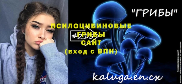кокс Арсеньев